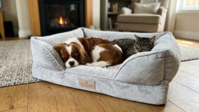 otis & claude hi-tech cashmere pet bed